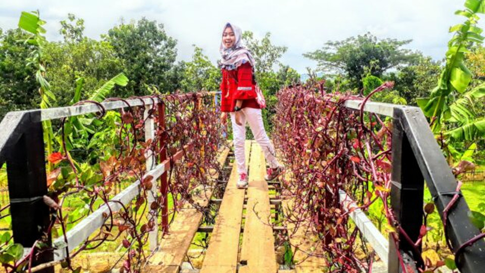 bukit_kemuning_banner_tengah_bawah