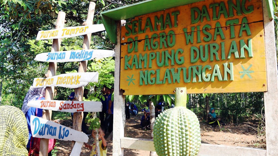 coverhome-durian_nglawungan